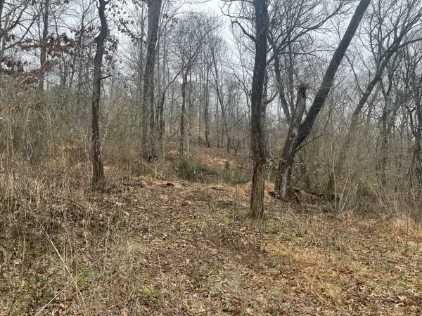 0 Cathcart Rd, Frankewing, TN 38459