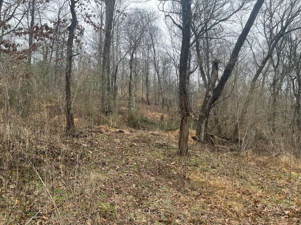 0 Cathcart Rd, Frankewing, TN 38459