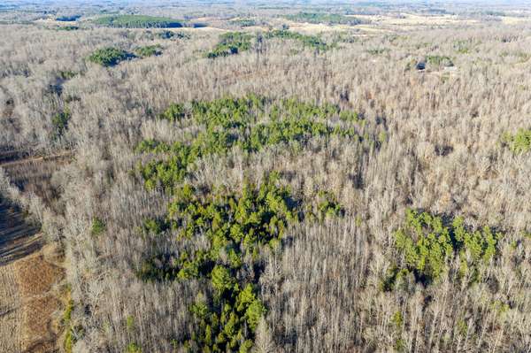 0 Hwy 114 W, Scotts Hill, TN 38374
