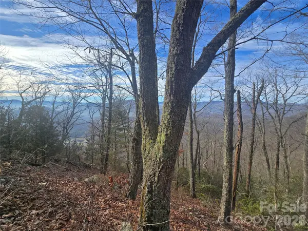 0000 Black Mountain RD #52, Cullowhee, NC 28723