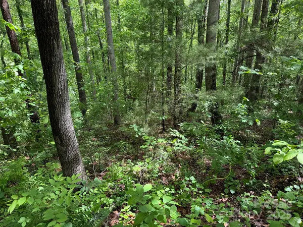 99999 Morning Star DR #Lot 13, Leicester, NC 28748