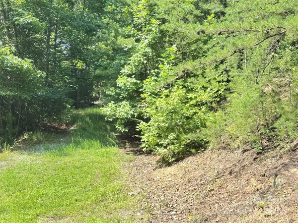 00 Plantation DR #40 & 41, Marion, NC 28752