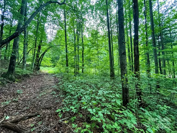 Lot 6 Azalea WAY, Saluda, NC 28773