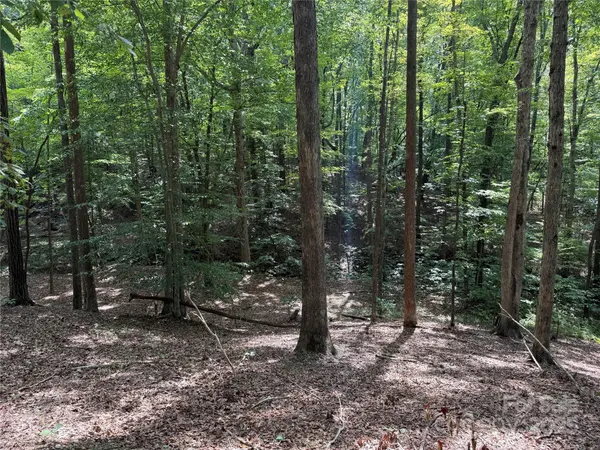 0 Mountain Brook TRL #298, Nebo, NC 28761