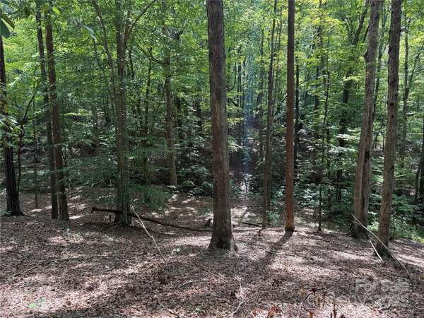 0 Mountain Brook TRL #298, Nebo, NC 28761