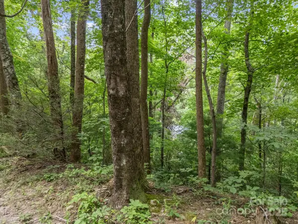 00 Mistletoe PARK, Lake Lure, NC 28746