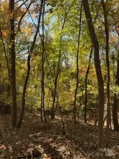 300 Rivercliff DR, Stony Point, NC 28678