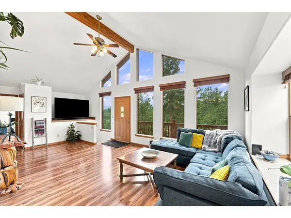 313 Deer Trail, Bailey, CO 80421