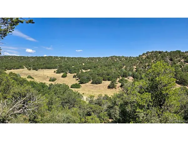 7 La Veta Pines Ranches, Walsenburg, CO 81089