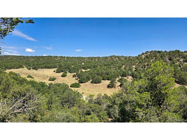 7 La Veta Pines Ranches, Walsenburg, CO 81089