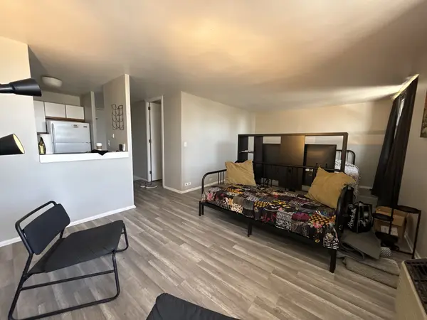2921 S Michigan AVE #413, Chicago, IL 60616