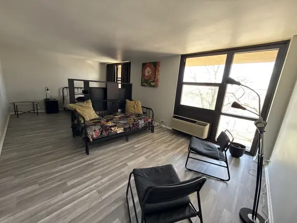 2921 S Michigan AVE #413, Chicago, IL 60616