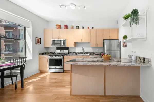 1910 S Michigan AVE #307, Chicago, IL 60616
