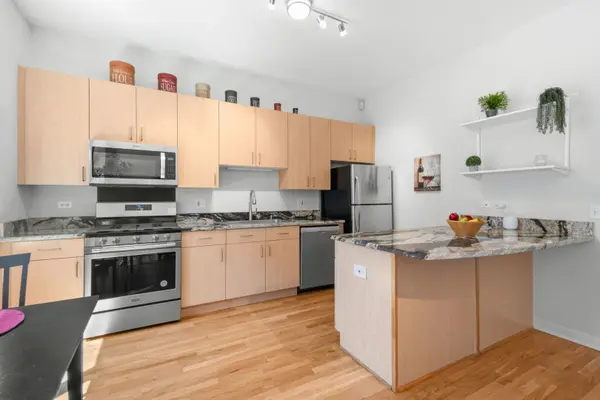 1910 S Michigan AVE #307, Chicago, IL 60616
