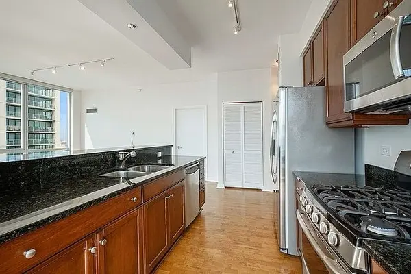 1201 S Prairie AVE #4206, Chicago, IL 60605