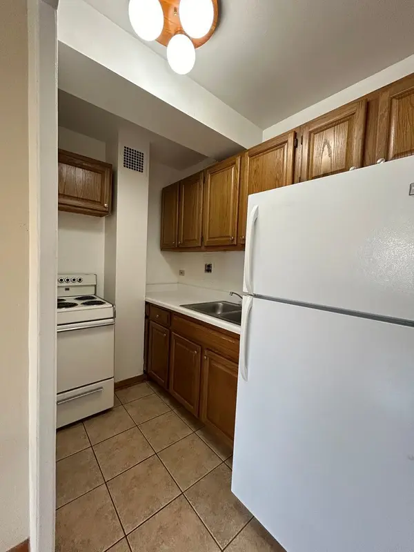 4180 N Marine DR #1009, Chicago, IL 60613