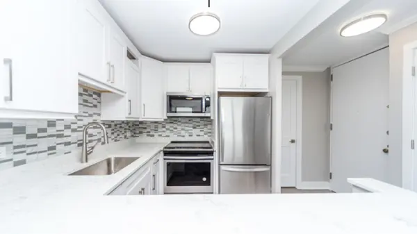 1030 N STATE ST #38M, Chicago, IL 60610