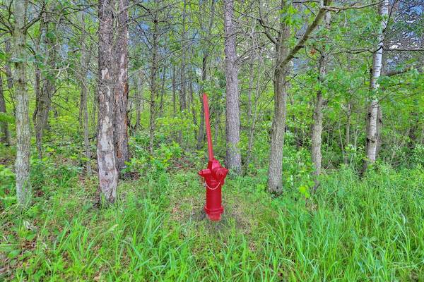 374XX-N40 Hemingway, North Branch, MN 55056