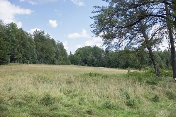 7144 Bodas RD, Eveleth, MN 55734