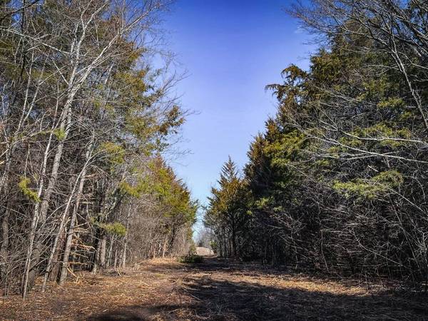 Locust RD,  Mill Creek,  OK 74856