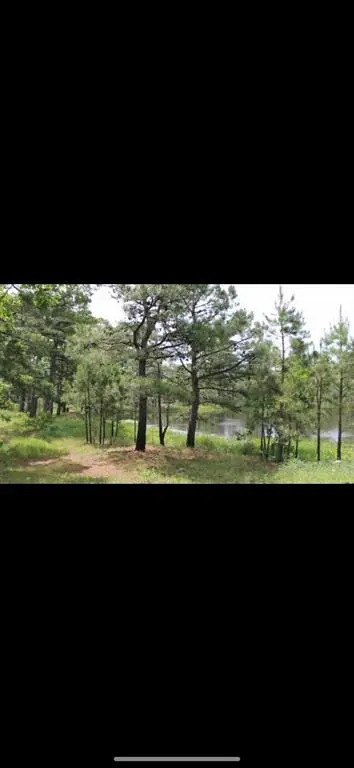 000 N PR, Daisy, OK 74540