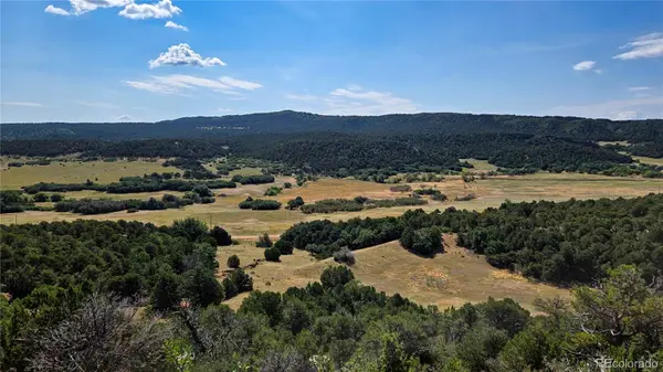 7 La Veta Pines Ranches, Walsenburg, CO 81089