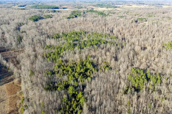0 Hwy 114 W, Scotts Hill, TN 38374