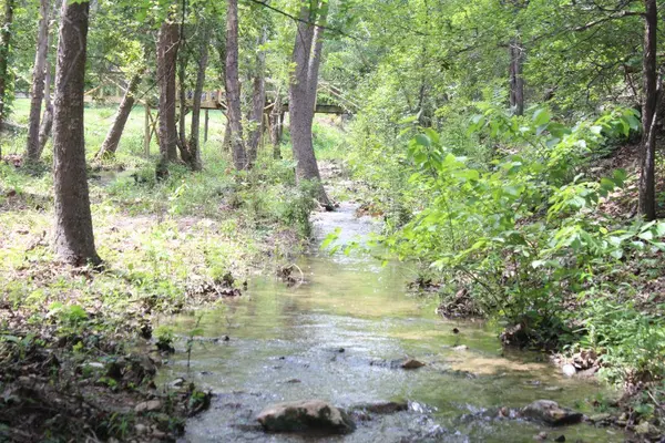 17234 E Reed Parks RD, Jonestown, TX 78645
