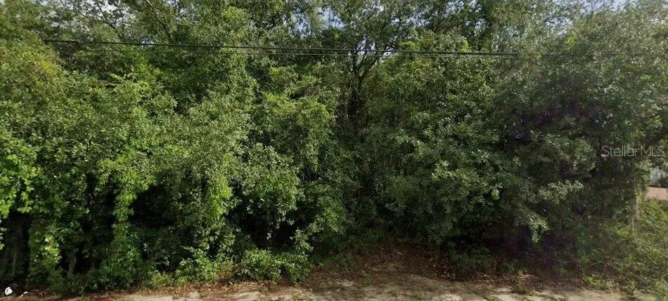 6175 ROXBORO ST, Spring Hill, FL 34606