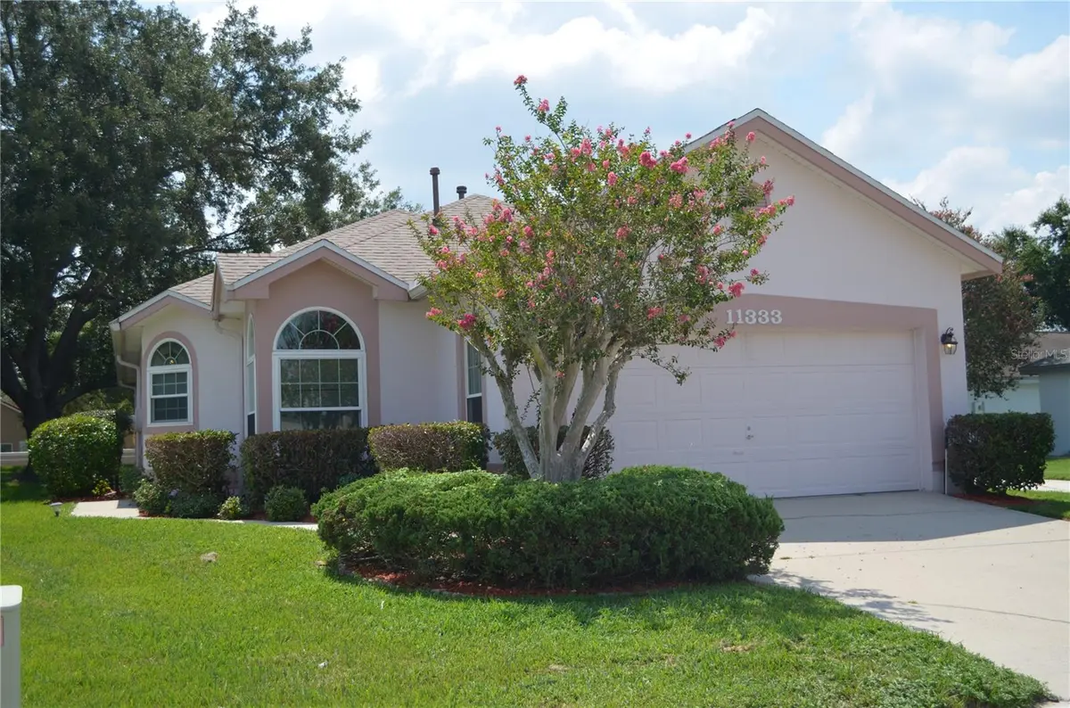 11333 PINK BLOSSOM CT, Orlando, FL 32821