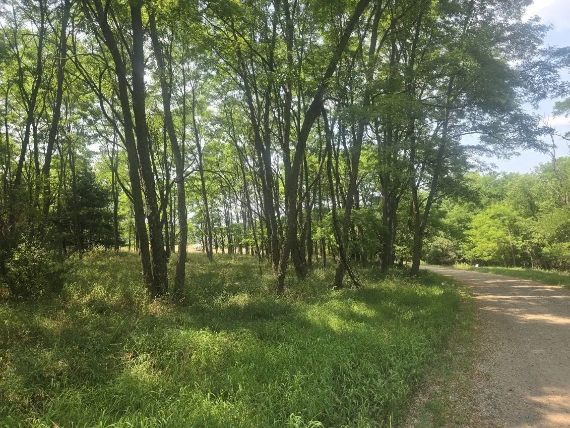 PINE ST #47,48, Poy Sippi, WI 54965