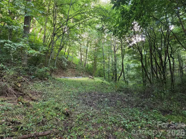 00 Creekside DR, Maggie Valley, NC 28751
