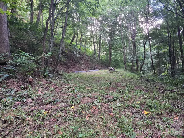 00 Creekside DR, Maggie Valley, NC 28751
