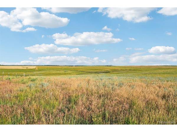 Lot 2 County Road 37, Elbert, CO 80106