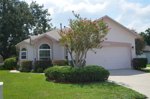 11333 PINK BLOSSOM CT, Orlando, FL 32821