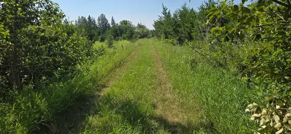 TBD County Road 7, Verndale, MN 56481