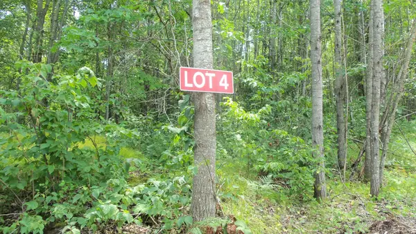 Lot 4 Birch Tree Trl, Spooner, WI 54801