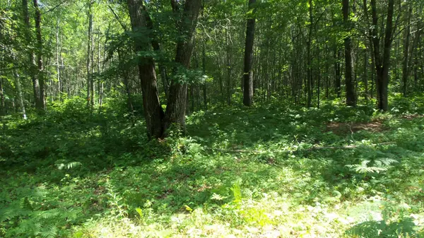 Lot 4 Birch Tree Trl, Spooner, WI 54801
