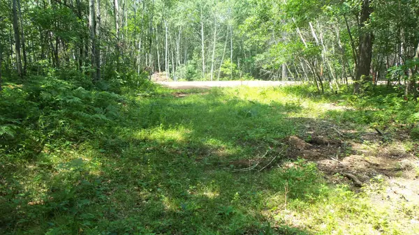 Lot 4 Birch Tree Trl, Spooner, WI 54801