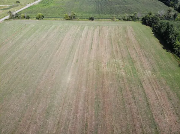 ALP DR #4, Pine River, WI 54965