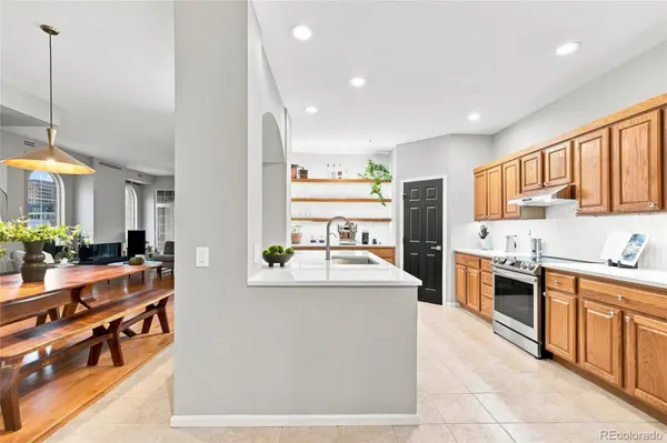 1100 Cherokee ST #502, Denver, CO 80204
