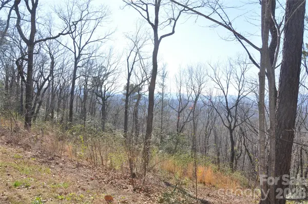 TBD Mountain Crest DR S #41, Marion, NC 28752