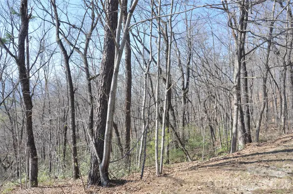 TBD Mountain Crest DR S #41, Marion, NC 28752