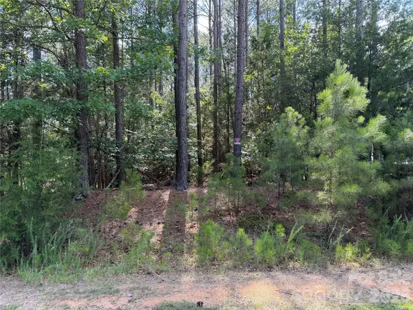 9212 Rustic Creek TRL, Waxhaw, NC 28173