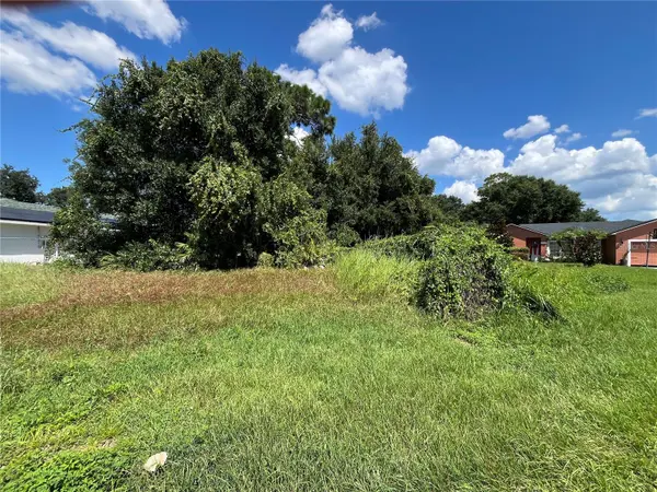 1011 DEDDINGTON PL, Kissimmee, FL 34758