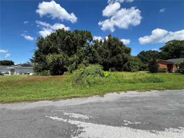 1011 DEDDINGTON PL, Kissimmee, FL 34758