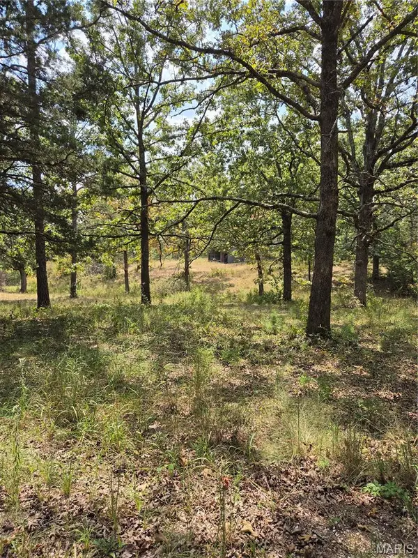 17740 County Road 7460, Unincorporated, MO 65550