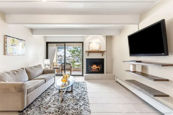 220 E La Bonte ST #215, Dillon, CO 80435