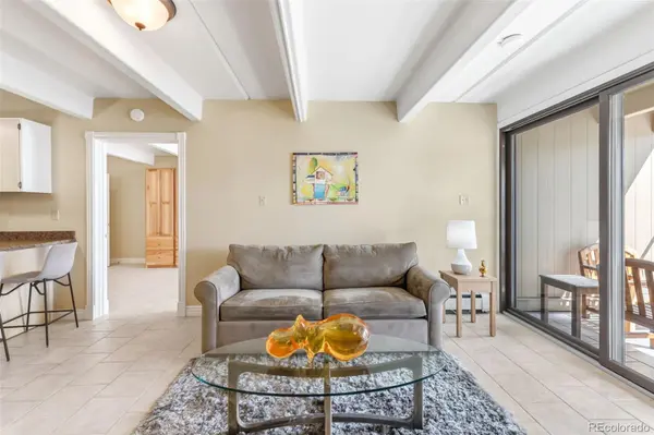 220 E La Bonte ST #215, Dillon, CO 80435