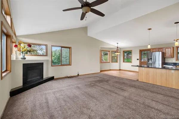 10176 Crest View DR, Morrison, CO 80465